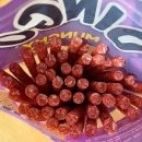 도기스쿨(doggy school) 이미지