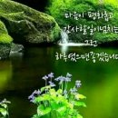 체리핑크