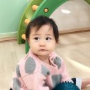 카페라율