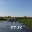 낙동강관리본부 대저생태공원 5 이미지