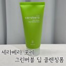 그린포레 | 클렌징폼추천 피부진정 보습효과 세라베라 포레 그린버블 딥 클렌징폼