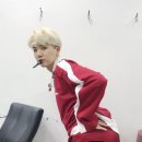 슈가몬스터 이미지