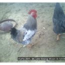 성진부화장 이미지