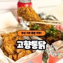 고향 통닭 | 부산 통닭 범천동 고향통닭 똥집세트 후기