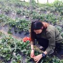 서주농장 이미지