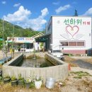 미시령 별이내린 캠핑장