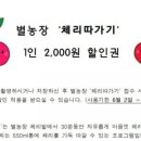 별이&체리 이미지