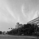 별망초교 사거리 이미지