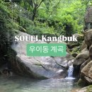 자연미림 이미지