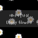 소잉데이지 이미지