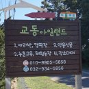 교동아일랜드 이미지