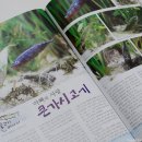 고기이야기 - 광주시 회안대로 350-14 | 고기이야기