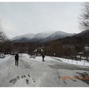 2015년 1 월 185회차 신년산행 덕유산 산행안내문 이미지