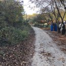 펜션단지 이미지