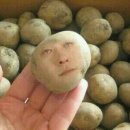 타파스(TAPAS) 이미지