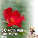 영남알프스꽃차
