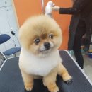 방화동농장 이미지