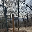 서울 초보자 등산 추천, 야등 코스가 딱인 시티뷰 | 대모산~구룡산 연계 트레킹 후기