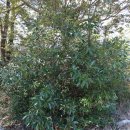 재단법인 전남바이오진흥원 이미지