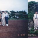탐라도 이미지
