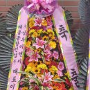 (주)성우이앤씨