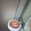 호랑이부대사랑 이미지