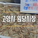 최고집홍두깨손칼국수