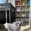 그루밍솔루션 구로점 이미지