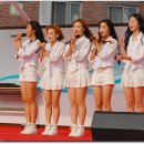 광탄경매시장 이미지