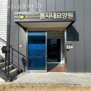 봄시내요양원 | 춘천요양원 봄시내요양원 위치안내