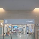 세종충남대학교병원버스정류장 | 기록 / RSV 접종] 세종 충남대병원에서 RSV 현장 예약 및 접종하기 (충남대학교병원 RSV 가격 및 예약...