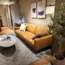 강남-124 이미지