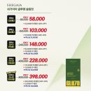 멍멍이를 부탁해 | 드디어 베컨 &amp; 쉬가이아 사옥 계약 + 하루비움 &#39;비비&#39;디톡스 + D-DAY 1! 라플라네트 4CT 솔리테어...