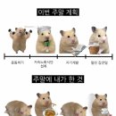 댕구르르 이미지