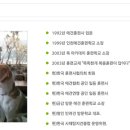 나나와허니 이미지