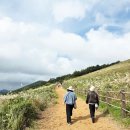 제주소요 | 제주 가을여행, 새별오름 억새 명소 등반 후기 (난이도·소요시간 포함)