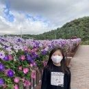 고은별Art어린이집 이미지