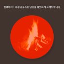 레인보우투어주 네이버블로그