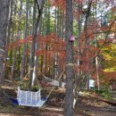 숲속의요정 이미지