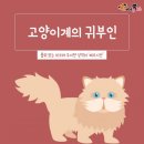귀부인 이미지