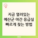 홍성종합약국 | 예산군 응급실 야간진료 병원 찾기 지금 가능한 곳 빠른 조회 완벽 가이드