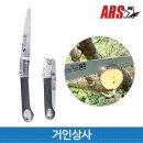 아루스 이미지