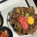 전주 롯데백화점 미스카츠 돈이찌 푸드코드 내 돈 내산 후기 (서이 추대 환영)