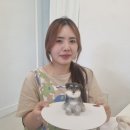 타이어달인 이미지