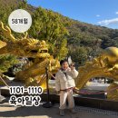 꾸러기미술 | 1110] 율이놀러옴 : 부모님과 강화보문사나들이 : 미술학원좋아 : 키카 : 똘똘이영화관람 : 빼빼로데이