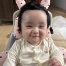 많은분들이 걱정해주신 민솔이(오복이) 뇌수막염 재후기, 보험료까지 나왔네요..;;