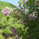 종보농장 이미지