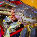 대신수산식당 이미지