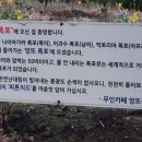 비몽식당