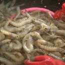 (주)석화 이미지